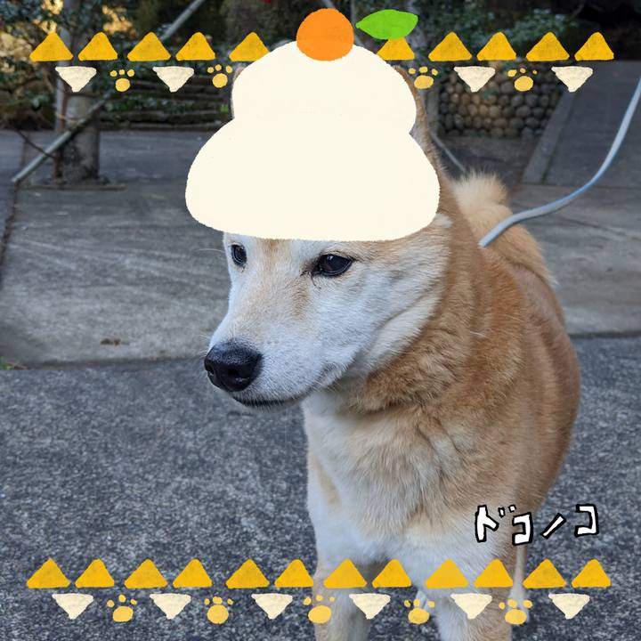 432c24c4 7b90 406a b840 8647eb71af36 1704092236376