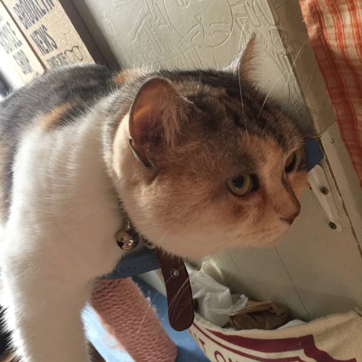 432c4db0 e106 472e 81b1 359a82a1e3b4 1557115667319