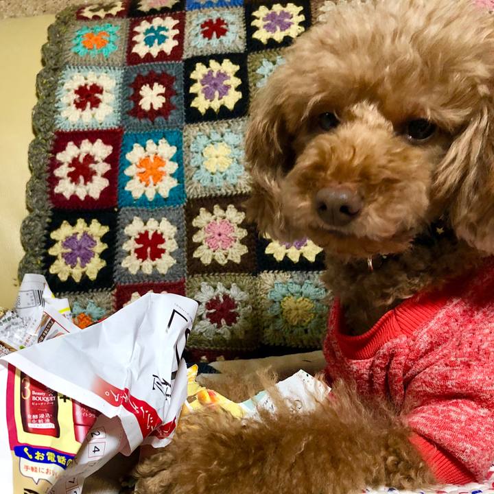 432c7807 5faa 4eae 83a6 b7e3cce337e3 1605303937093