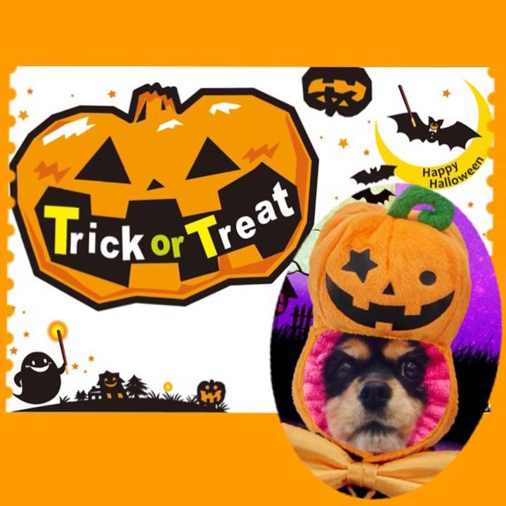 432d1597 3f42 4063 8049 72bdaa25f93c 1509426576975