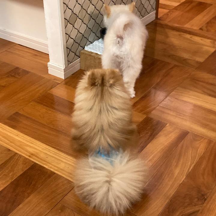 432d91bd 71c4 412a 9fca 77e0af92e6a0 1649387930208