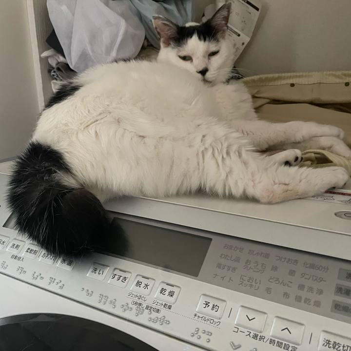 432db6aa 3026 4d29 bc16 82f8e3746da2 1688959602986