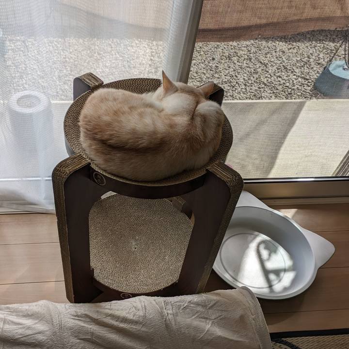 432dc9be f29e 4962 96d2 f2bdc8310904 1694059211513