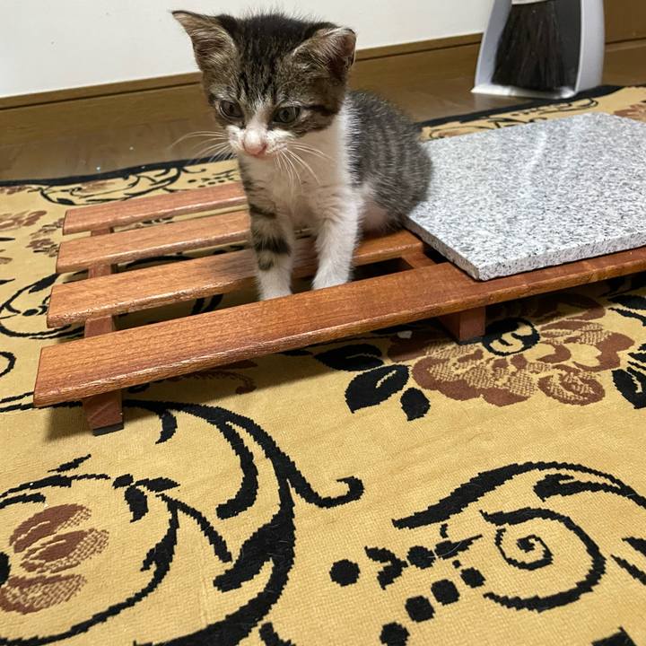 432e2193 c5cc 46ae 993e c8eba27c7a4e 1720676299952