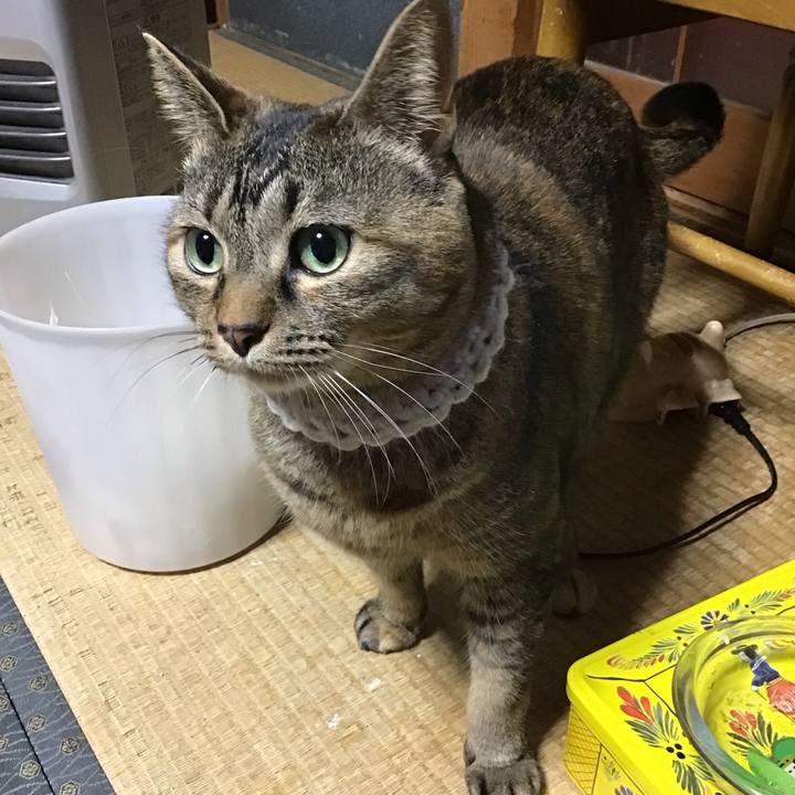 432ec62b b923 4083 b519 e5c0411f2b7f 1741684310774