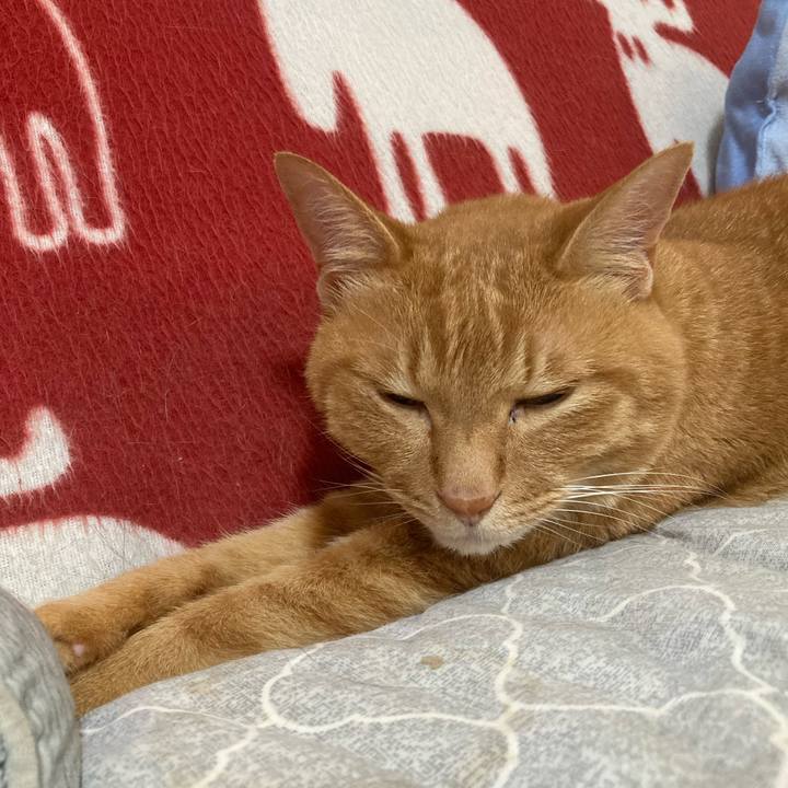 432f02d0 b60e 4504 b8ce 029bd38accfb 1757085190200