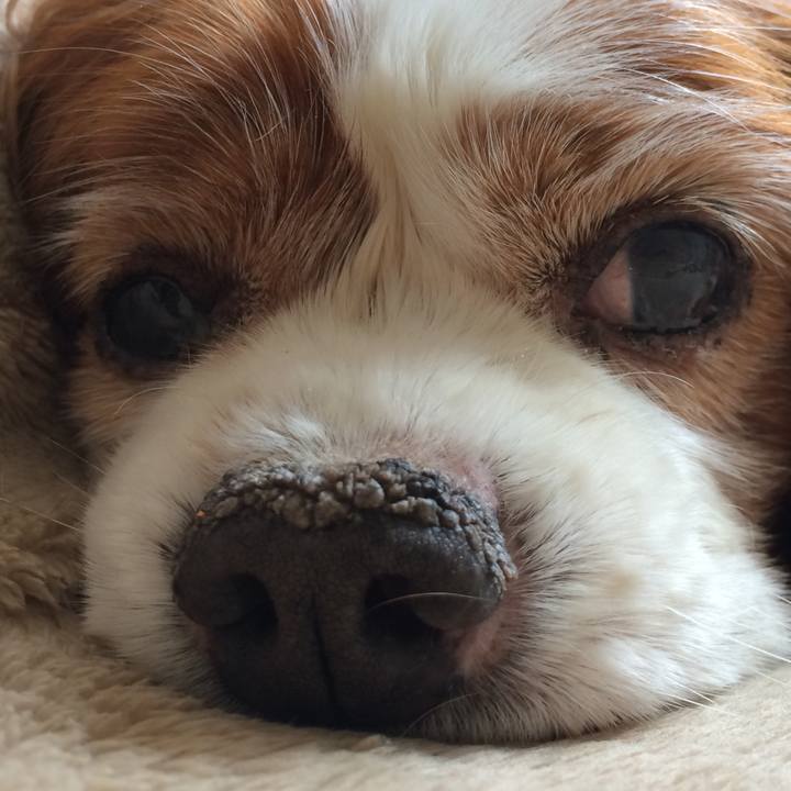 432f3fcf 28d9 48a1 904f 52a183dd73cf 1523398463954