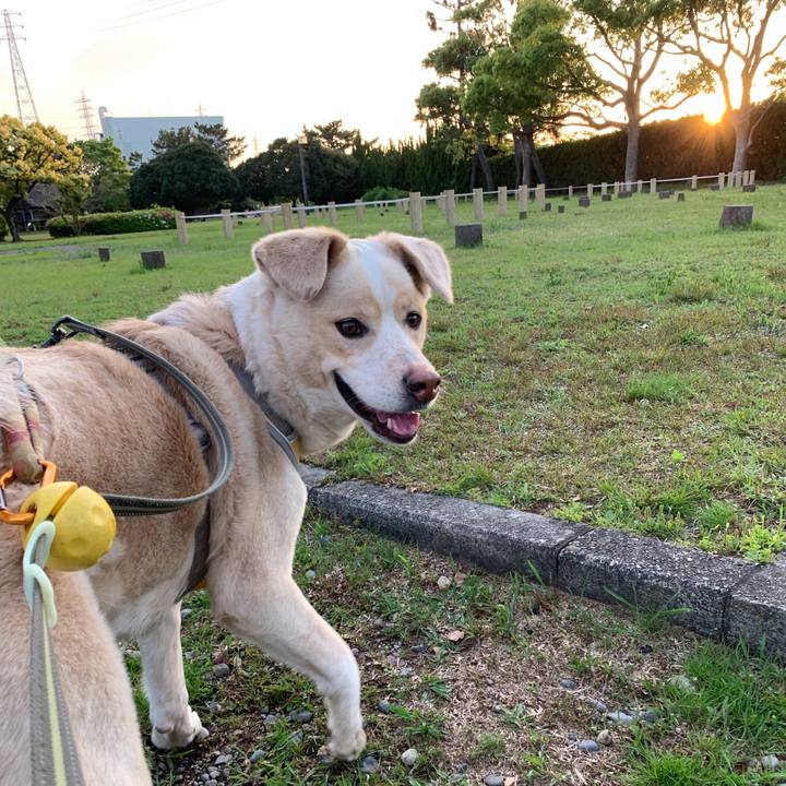 432f8c05 73cb 4be0 ba8d ad5deb30c133 1556807354893