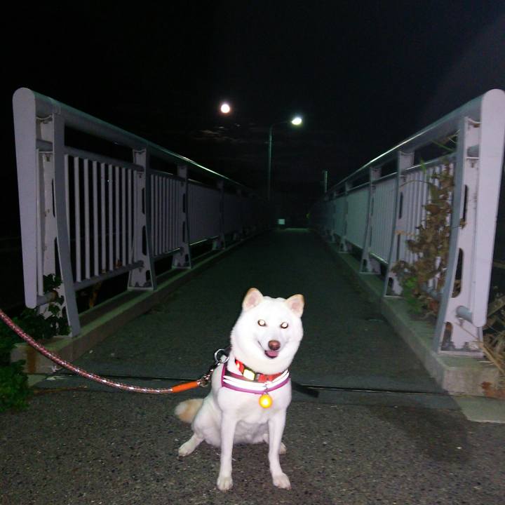 432f914c d3c0 4b85 aadd 0258f812517a 1565867205855