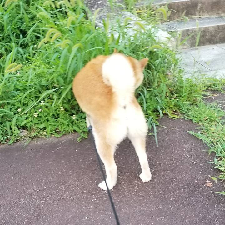 432f928f f0c9 4b15 b910 d2de2b1c18b9 1659259046857