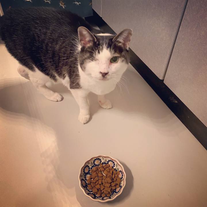 432fac3d bd1c 4c65 85e5 39af1c9e0184 1582989285263