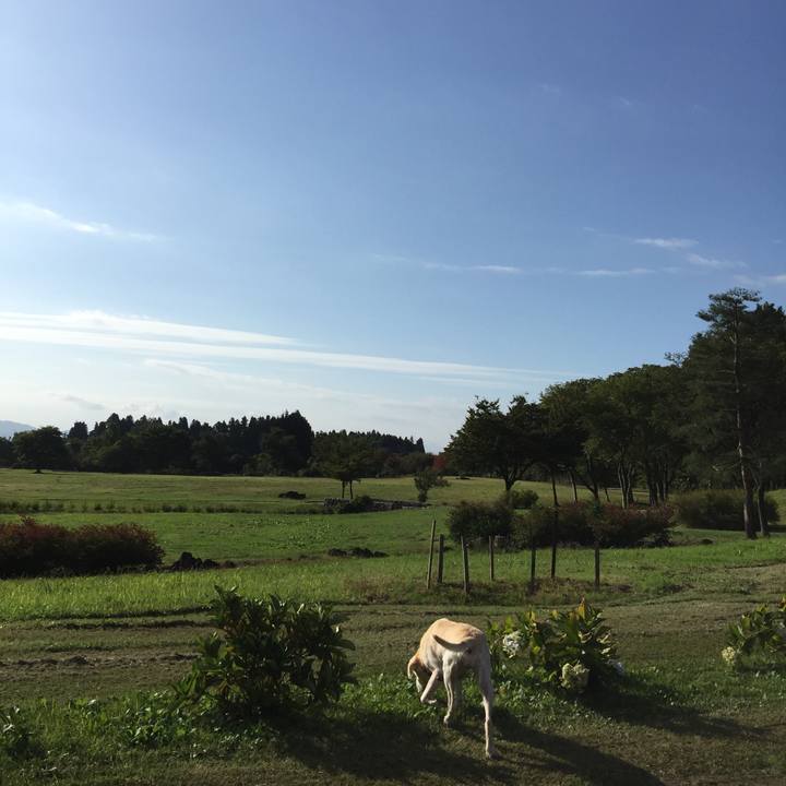 432fb80f 8c8a 40b9 ae7c 497c188ccd76 1508286518539