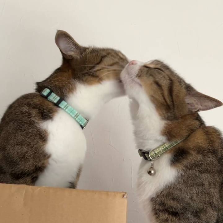 432fbf6e 714d 4252 97d2 1989b6817f39 1746970193443