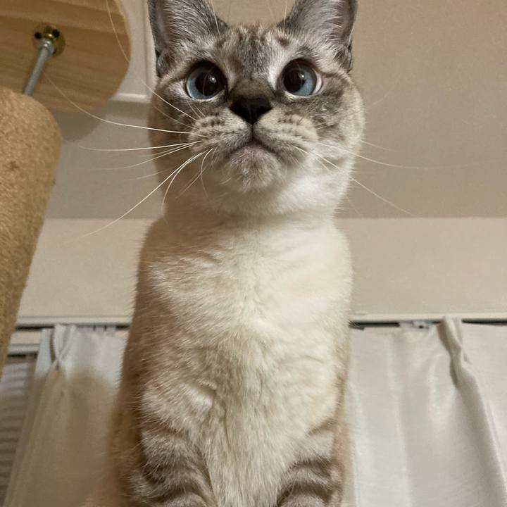 432fc2ed aca7 4996 84a2 d8409aab153f 1603967696460