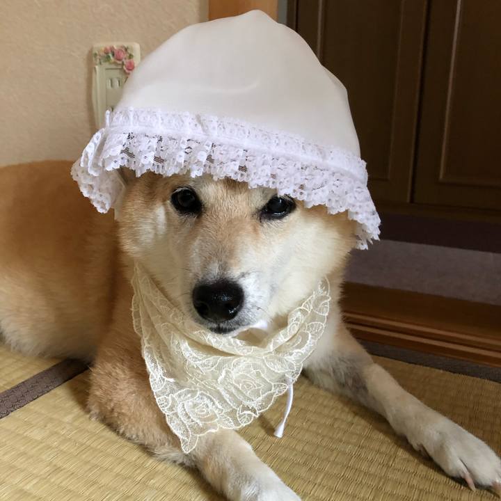 432fe7c0 783a 488d a57d 589b15b42eae 1562760501523