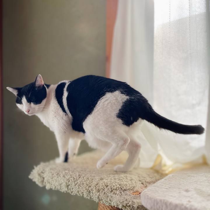 43300d0d e561 4c88 865d 08a7fb68c919 1639363834708