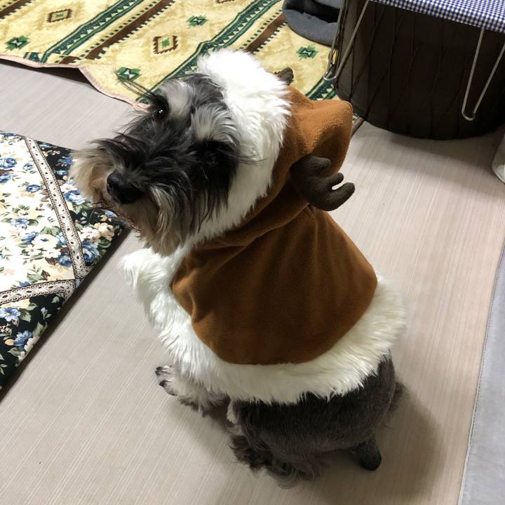 43300efa 528d 46be 928b c726ac1cf316 1608900035997