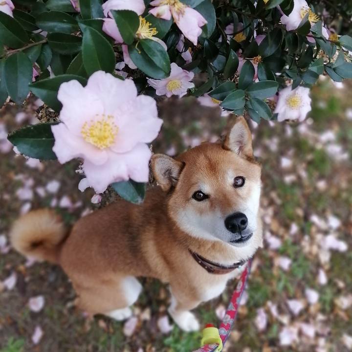 43301e8c 79b0 42b8 a538 05ebc6c23150 1606459699950