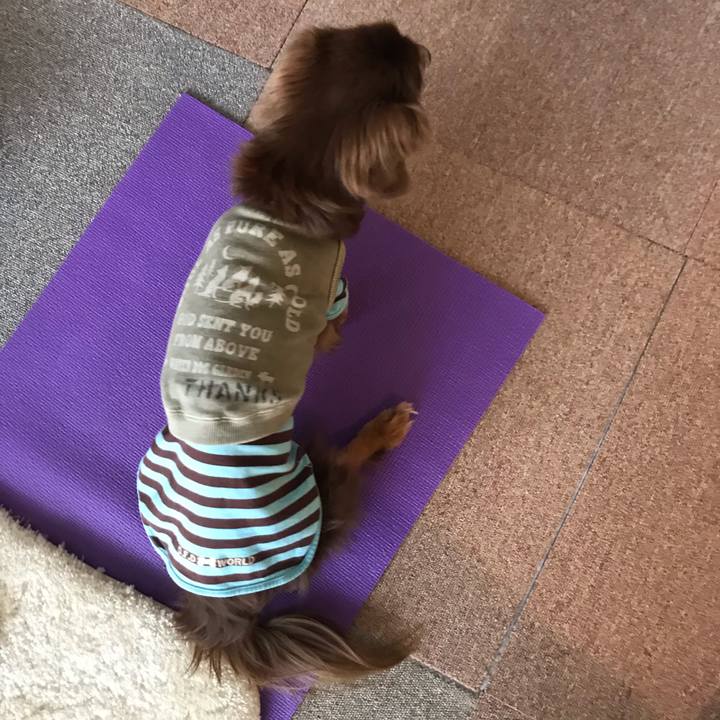 43302a63 8621 4242 9cc8 0e0e27ab64c6 1586738107240