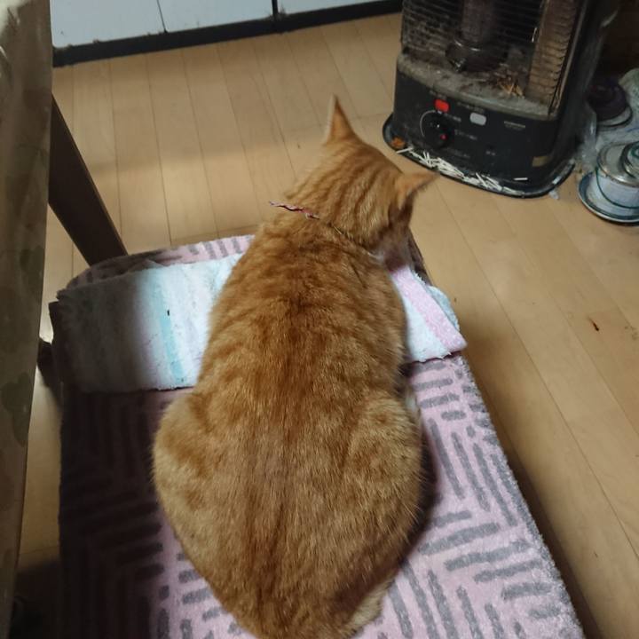 43303dfb e162 4010 9139 58d85e31e41e 1603875991005