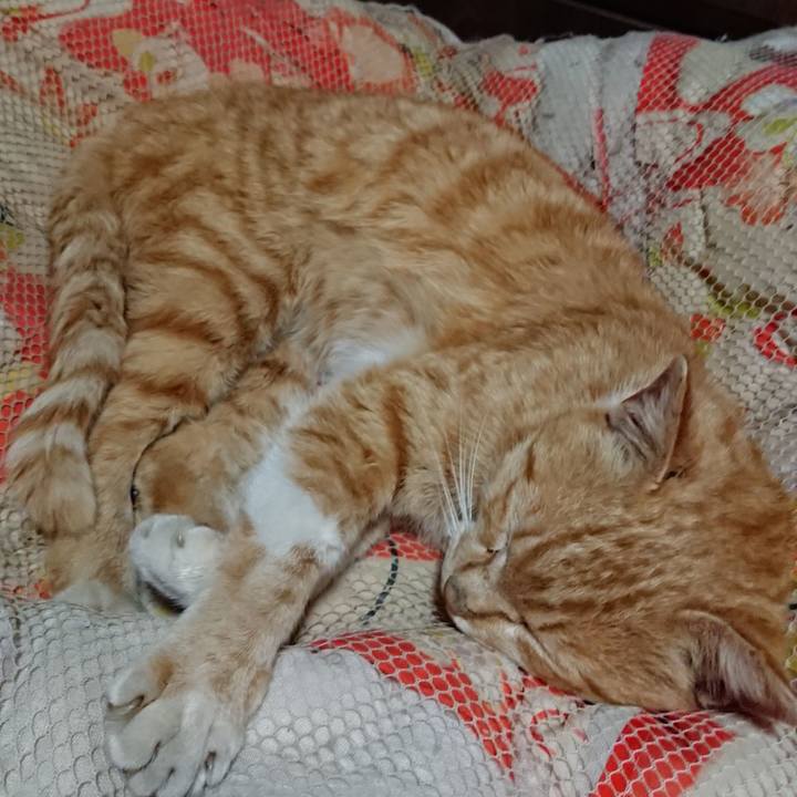 4330473f 5ddb 42c6 b5bd 5d11fe33172d 1554643063486