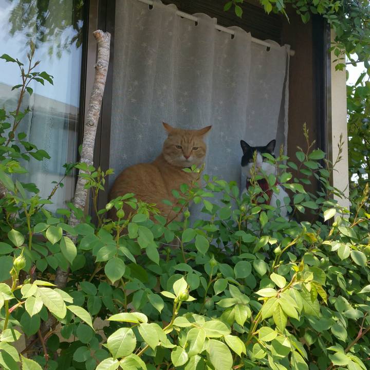 4330e368 e77a 4554 a5f2 aeda65f8e722 1557535724030