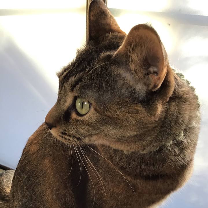 43310e8f 7f3b 478d 9047 e5d03eb7638c 1644027006770