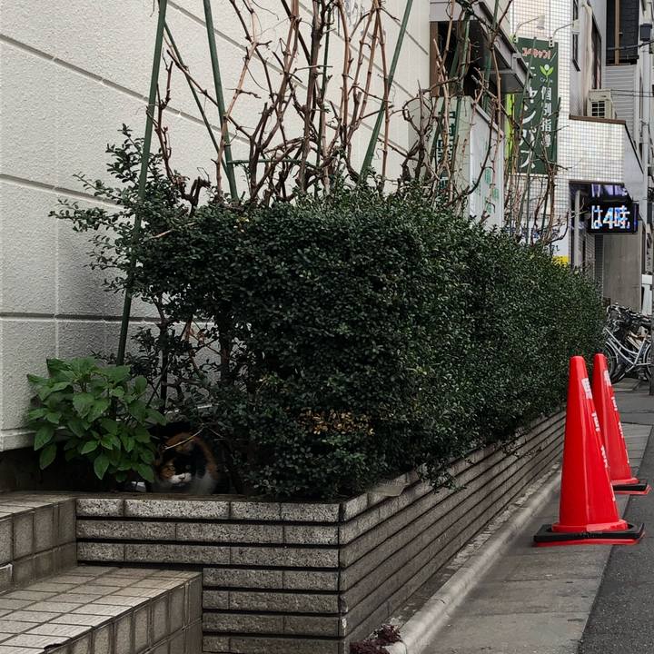 43311ea8 7646 4eb4 85d1 c815877d742a 1554119835630