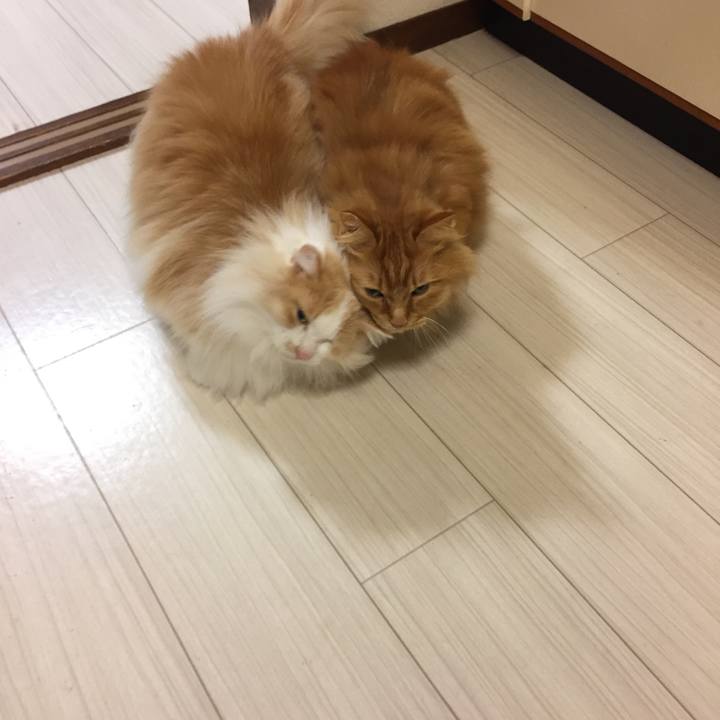 433122eb 3d7c 4060 adcb 5ecc058586cb 1517521258156