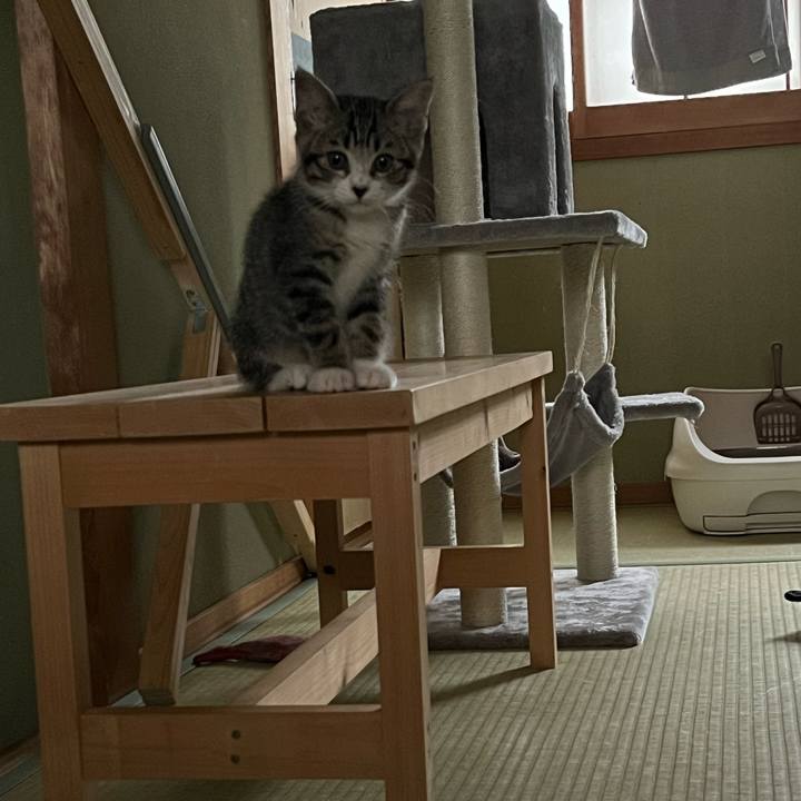 433150bc 89a9 48dc 87a0 685afe56275e 1688083476582