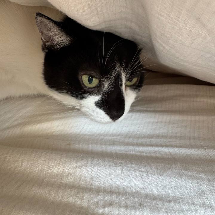 43315ed5 e6b4 4c4b 90f8 d90e7a74f4a2 1756510599445