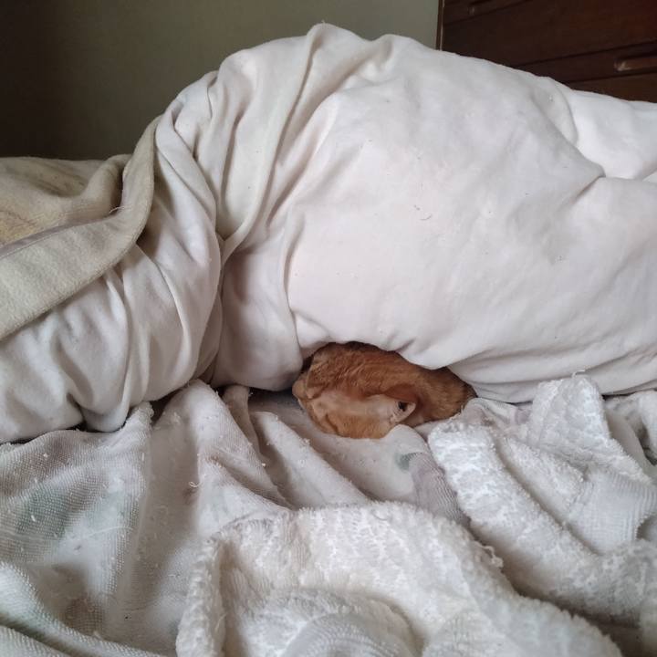 4331bf4f bfb6 4908 a44e 6b6bfc6efb8e 1741841681966