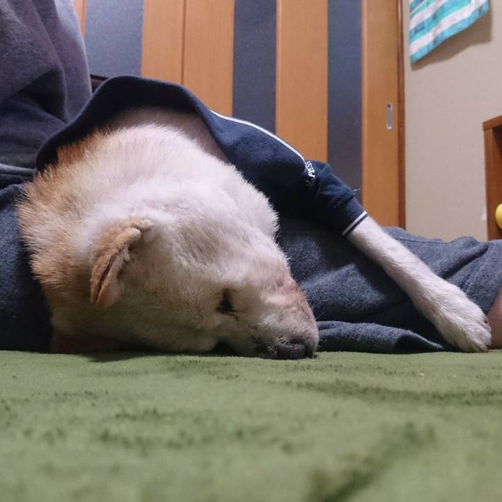 4331cc6c 7976 4fee 85ab 4a35f463c12e 1539869485369