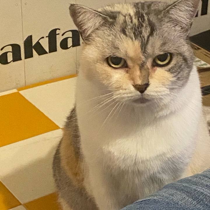 4331d321 1146 4794 828c 3085a81613d8 1731938698122