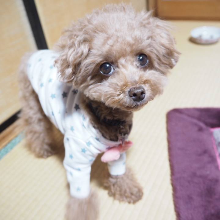 4331f699 31d9 4e6b 95b3 ea0caf0a3f81 1525093594301