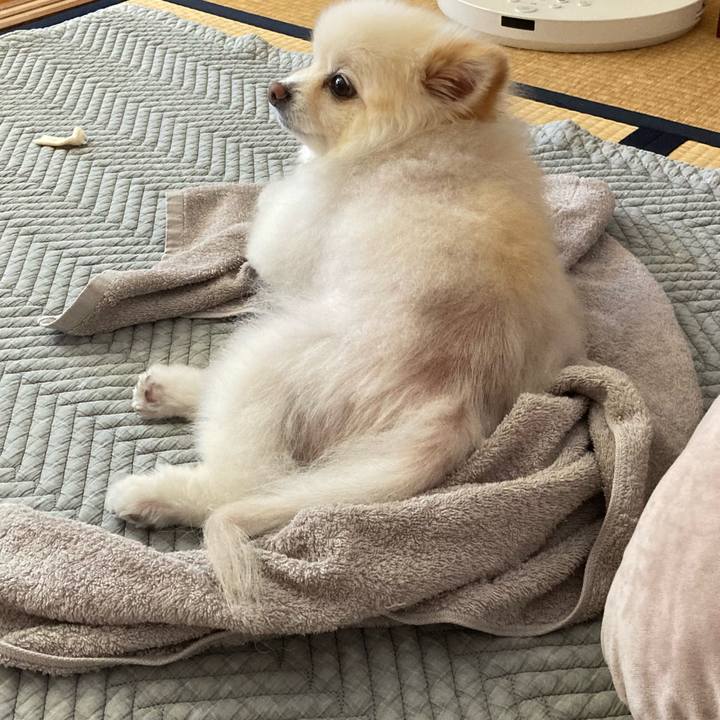 433263b0 8a33 4065 b8a4 db02cb2cf7c8 1712538326862