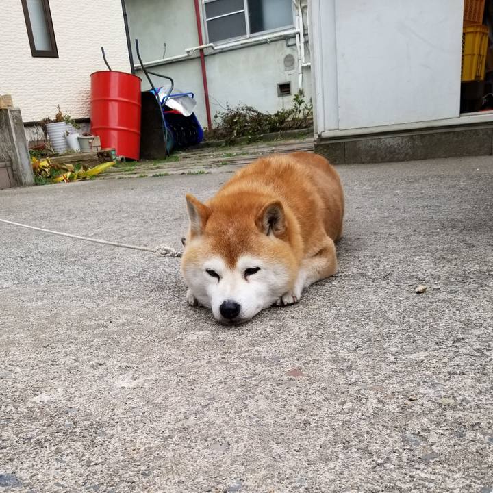 43328927 d04b 42be a66b 17afabdd6914 1649316432117