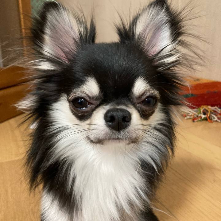 4332e879 86db 4694 b05e a98f4dc003e8 1609418748773