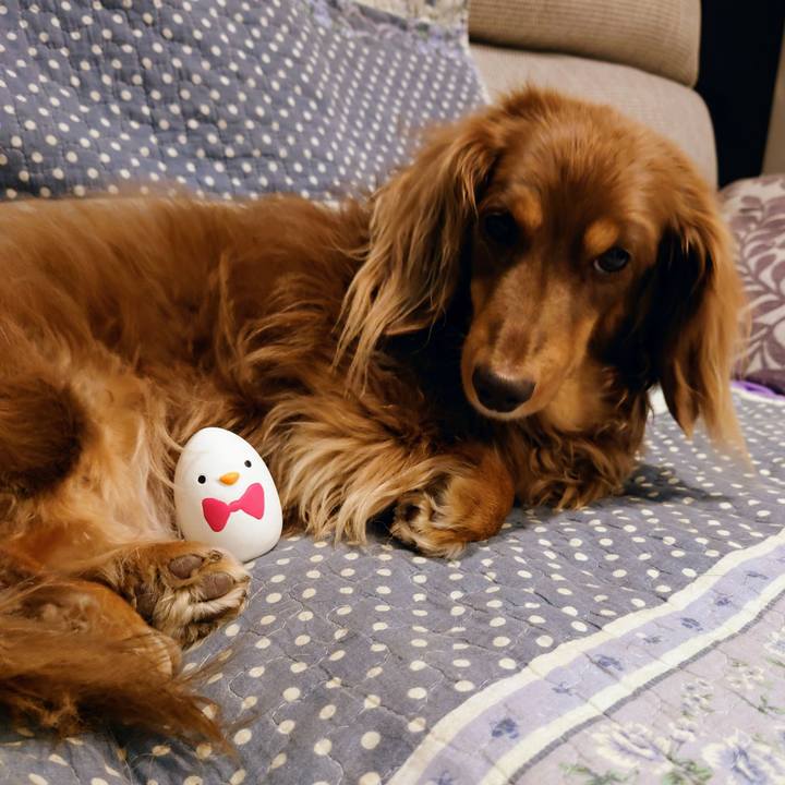 4332f0ac a55c 497b 9d2c 76c15fa103c0 1700132006490