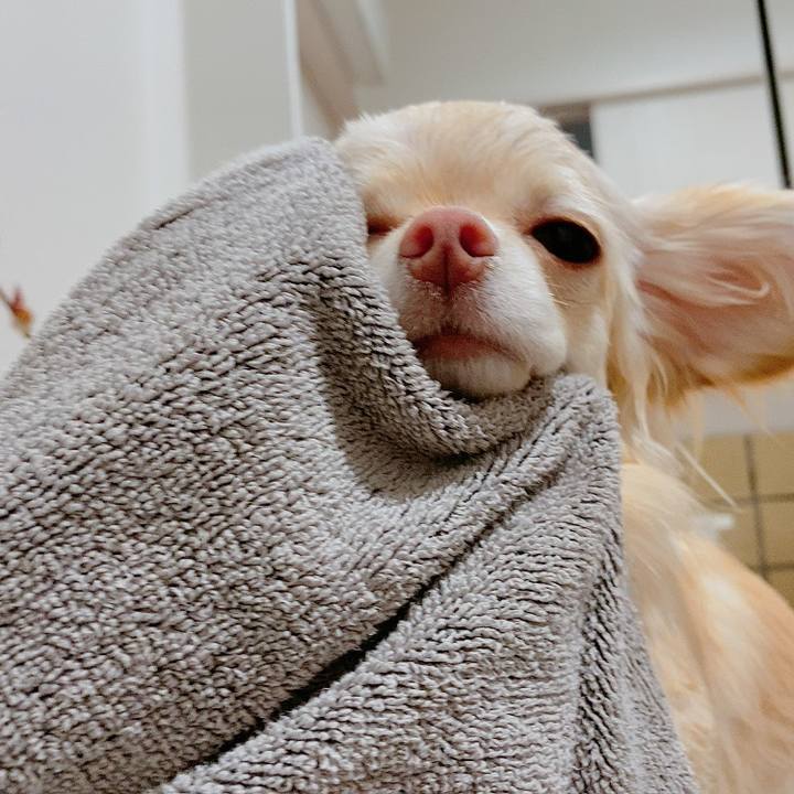 43330385 2c6b 489a a6b5 9a2dcdbff0c1 1613125426377