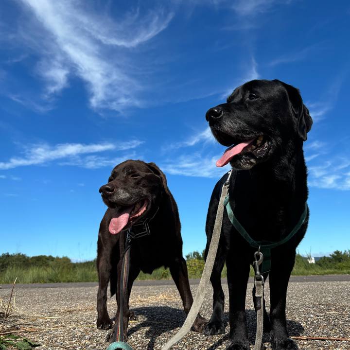 433315d5 be9b 4258 981e d4c9714a3b53 1760446454364