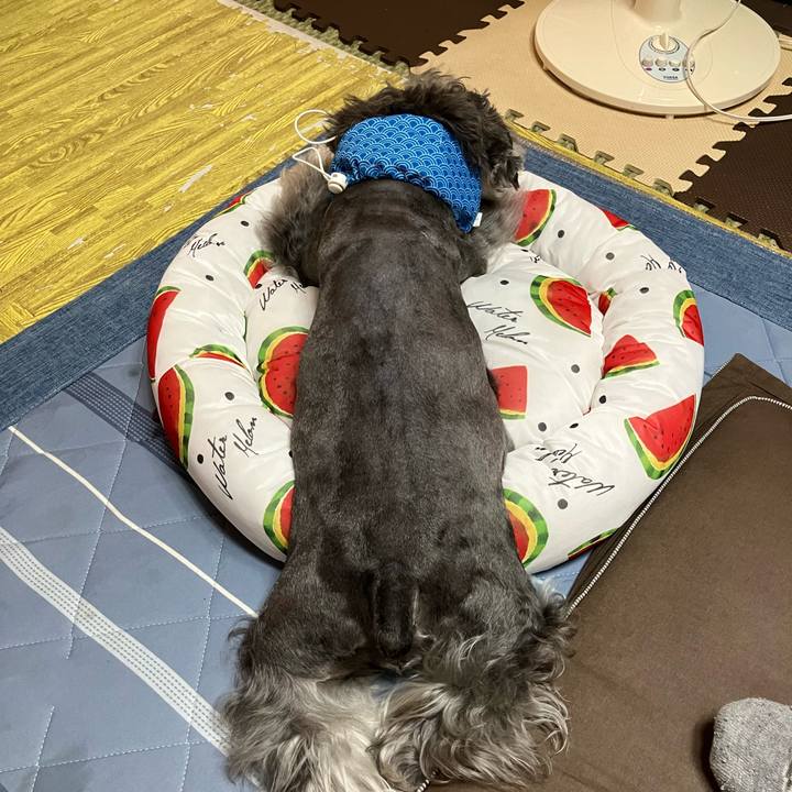 43332c8e aa2a 42eb be73 e5e927d5a37b 1722776974236