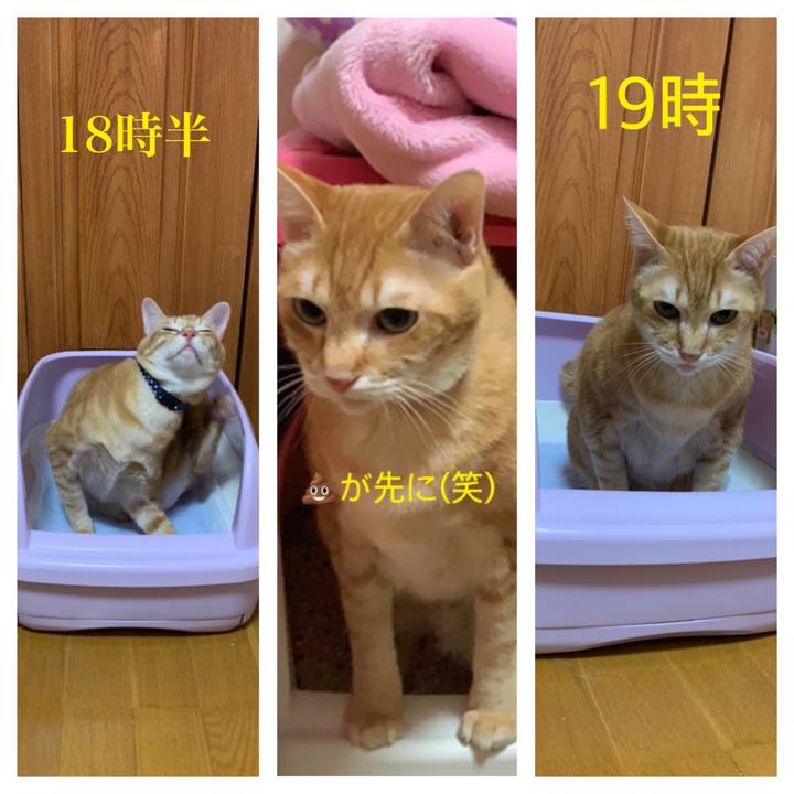 433333fb 05fe 4831 9655 4f00f13954f5 1584439646518