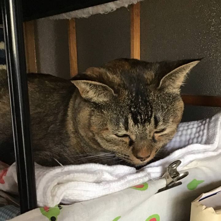 4333441b 8955 4565 aa9c 0d3ded79bcb1 1756812077987