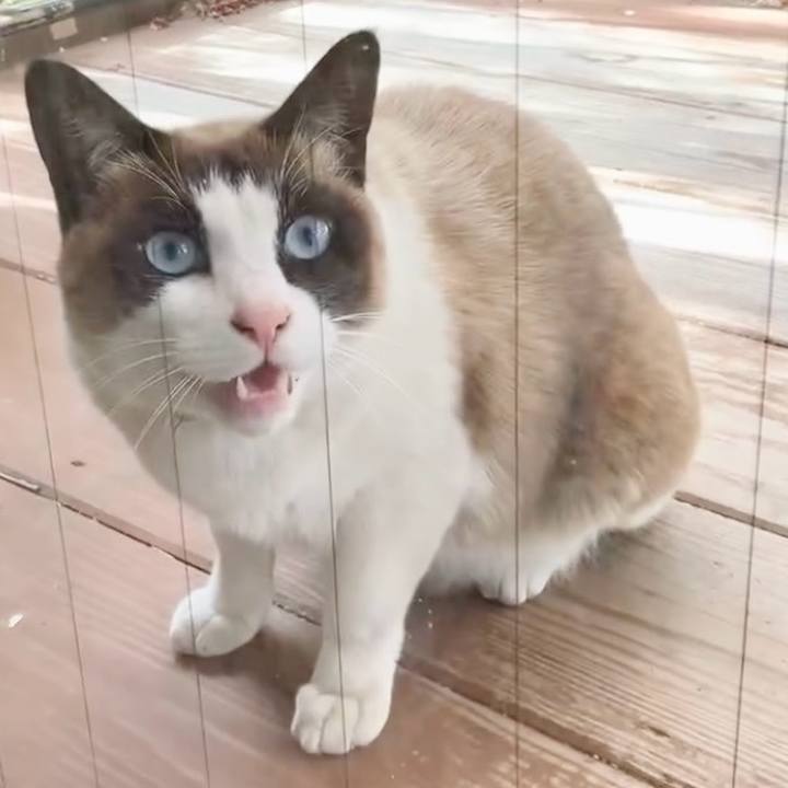 43334c86 7709 4979 a065 ecad64394e90 1743386253611