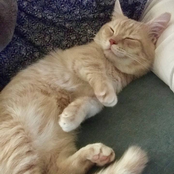 43334ca6 458a 41e8 a43d 43ee0a3be5cf 1529129706859