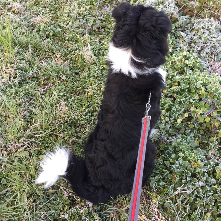 4333558f 19da 4939 85dc eb75538fd0a6 1583969413069