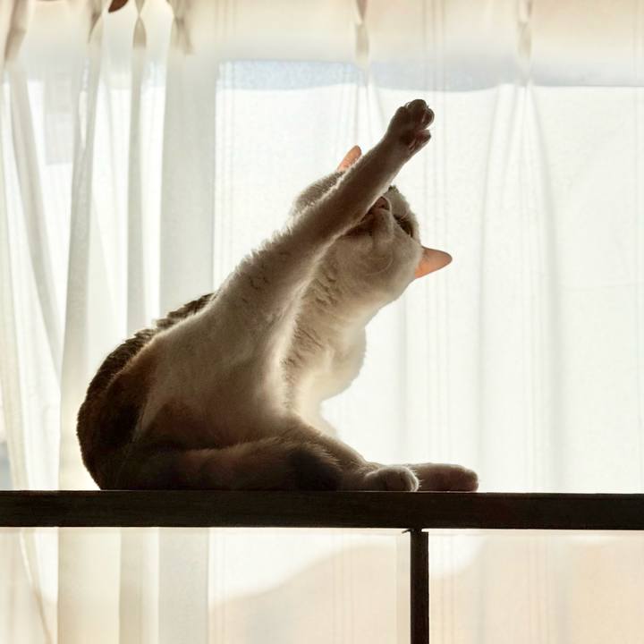 43339c01 0170 4c40 970c 252cd4b9db82 1769046595971