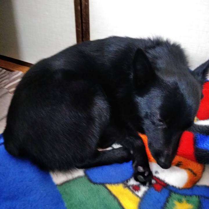 4333bb4c 0f5e 4159 b7bc 1c034b7c4f2c 1581397215666