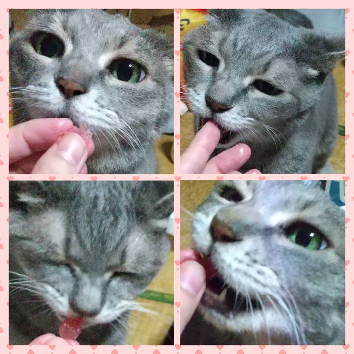 4333f9b0 8748 4bd1 a291 d041a91e4989 1660993674974